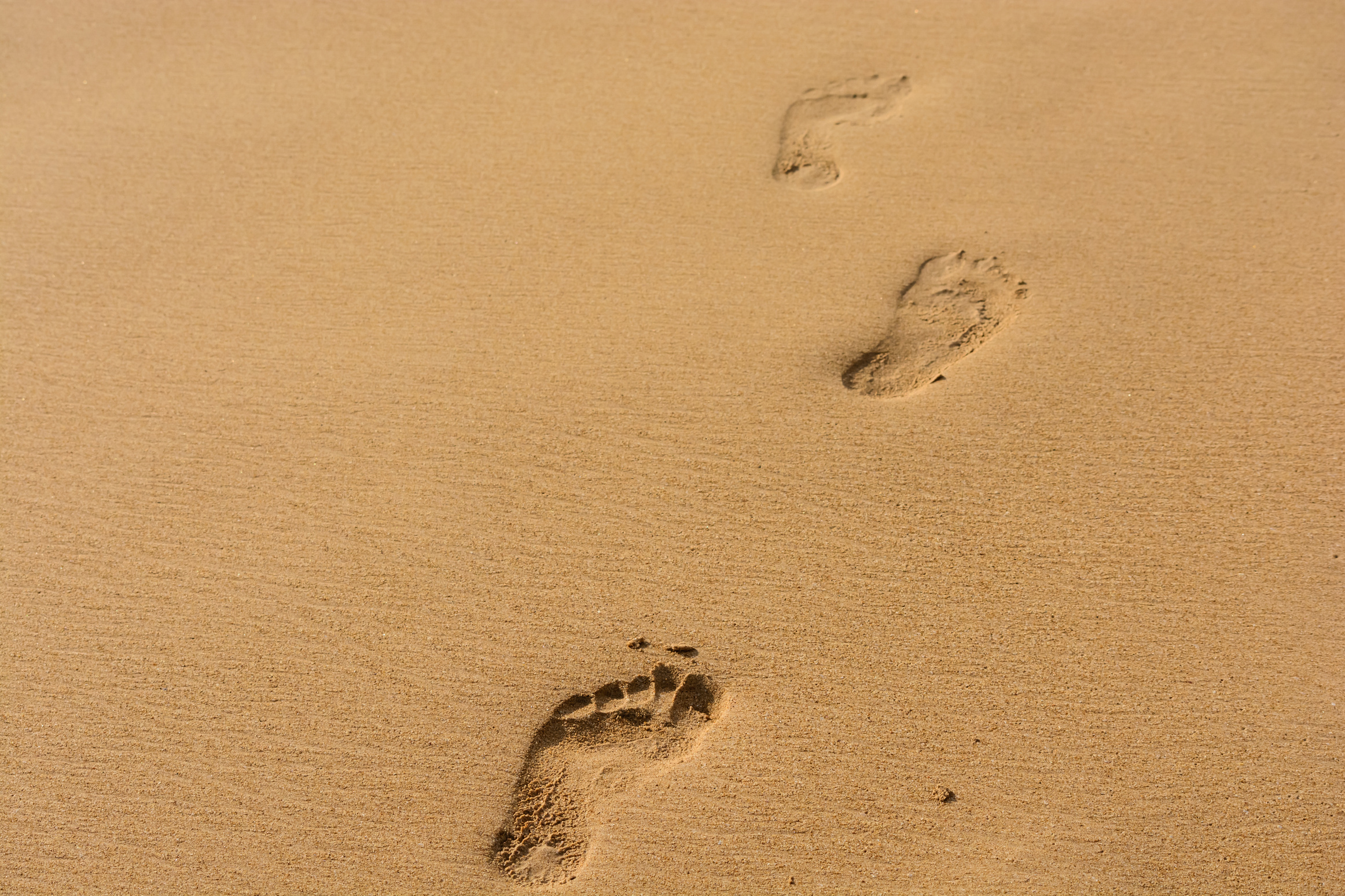 foot path on sand